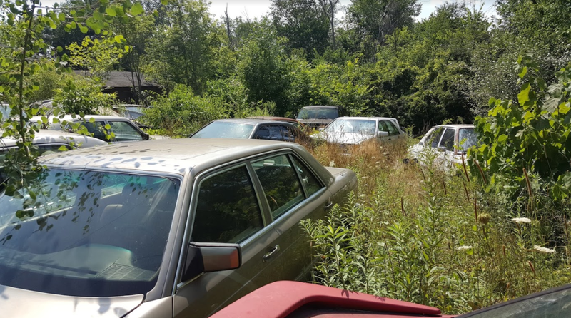 Illustration for article titled A Michigan Town Is Forcing This Man To Sell 20 Old Cars Off His Property Every Month